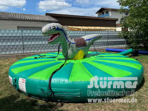 pud_251w.jpg (373079 Byte)